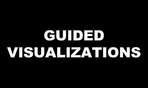 GUIDED VISUALIZATIONS