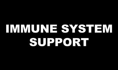IMMUNE SYSTEM SUPPORT
