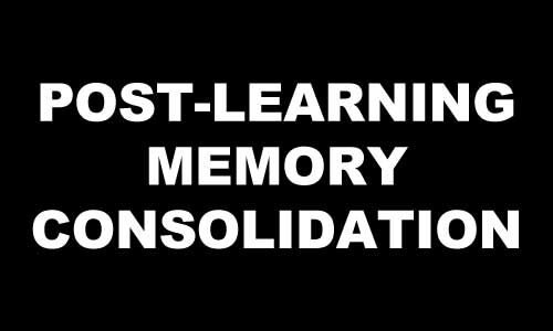 POST LEARNING MEMORY CONSOLIDATION